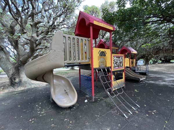 🌳 신도심 공원(신토신 코우엔) 이미지 1